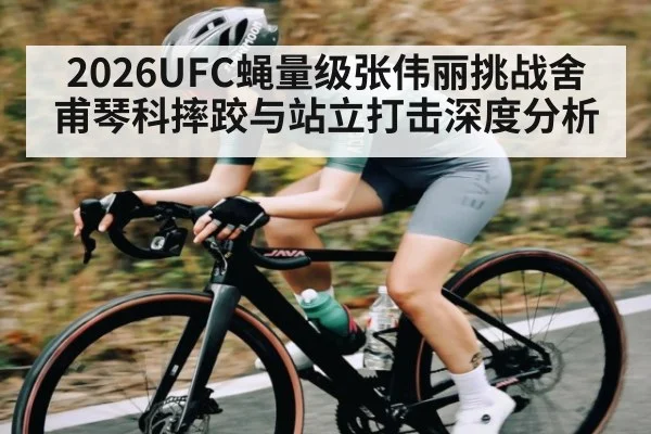 2026UFC蝇量级张伟丽挑战舍甫琴科摔跤与站立打击深度分析
